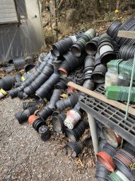 Don't Let a Little Rain Keep you from 50% Off Saturday at Our Small Farm Sale in Cumming/ Suwanee - Image 85