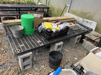 Don't Let a Little Rain Keep you from 50% Off Saturday at Our Small Farm Sale in Cumming/ Suwanee - Image 86