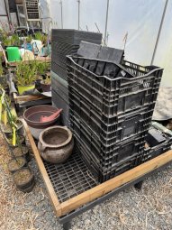 Don't Let a Little Rain Keep you from 50% Off Saturday at Our Small Farm Sale in Cumming/ Suwanee - Image 90