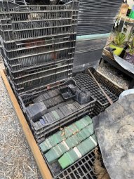 Don't Let a Little Rain Keep you from 50% Off Saturday at Our Small Farm Sale in Cumming/ Suwanee - Image 91