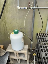 Don't Let a Little Rain Keep you from 50% Off Saturday at Our Small Farm Sale in Cumming/ Suwanee - Image 101