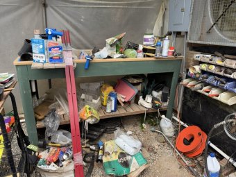 Don't Let a Little Rain Keep you from 50% Off Saturday at Our Small Farm Sale in Cumming/ Suwanee - Image 105