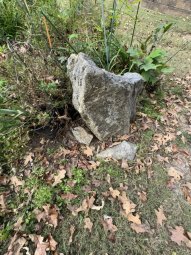 Don't Let a Little Rain Keep you from 50% Off Saturday at Our Small Farm Sale in Cumming/ Suwanee - Image 114