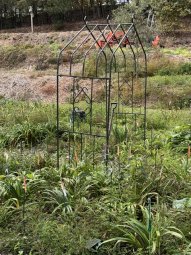 Don't Let a Little Rain Keep you from 50% Off Saturday at Our Small Farm Sale in Cumming/ Suwanee - Image 115