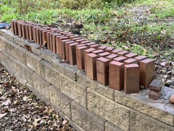 Don't Let a Little Rain Keep you from 50% Off Saturday at Our Small Farm Sale in Cumming/ Suwanee - Image 119