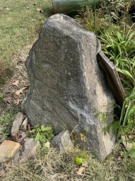 Don't Let a Little Rain Keep you from 50% Off Saturday at Our Small Farm Sale in Cumming/ Suwanee - Image 120