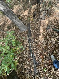 Don't Let a Little Rain Keep you from 50% Off Saturday at Our Small Farm Sale in Cumming/ Suwanee - Image 124