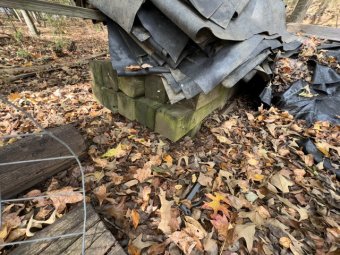 Don't Let a Little Rain Keep you from 50% Off Saturday at Our Small Farm Sale in Cumming/ Suwanee - Image 126