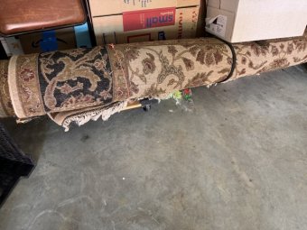 Don't Let a Little Rain Keep you from 50% Off Saturday at Our Small Farm Sale in Cumming/ Suwanee - Image 132