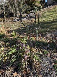 Don't Let a Little Rain Keep you from 50% Off Saturday at Our Small Farm Sale in Cumming/ Suwanee - Image 148