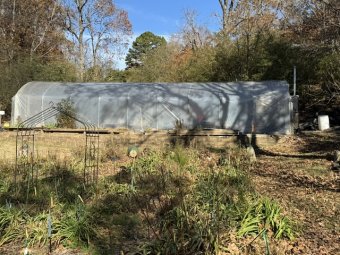 Don't Let a Little Rain Keep you from 50% Off Saturday at Our Small Farm Sale in Cumming/ Suwanee - Image 151