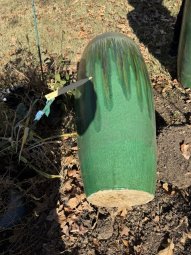 Don't Let a Little Rain Keep you from 50% Off Saturday at Our Small Farm Sale in Cumming/ Suwanee - Image 154