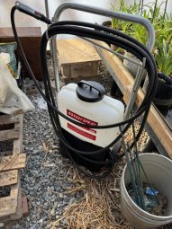 Don't Let a Little Rain Keep you from 50% Off Saturday at Our Small Farm Sale in Cumming/ Suwanee - Image 158