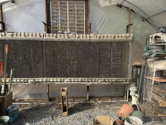 Don't Let a Little Rain Keep you from 50% Off Saturday at Our Small Farm Sale in Cumming/ Suwanee - Image 160