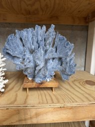 Don't Let a Little Rain Keep you from 50% Off Saturday at Our Small Farm Sale in Cumming/ Suwanee - Image 222