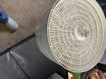 Don't Let a Little Rain Keep you from 50% Off Saturday at Our Small Farm Sale in Cumming/ Suwanee - Image 276