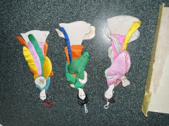 This is a Test Sale for Site Improvement, Nothing for sale - Image 31