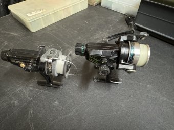 Don't Let a Little Rain Keep you from 50% Off Saturday at Our Small Farm Sale in Cumming/ Suwanee - Image 295