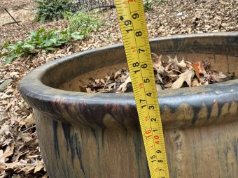 Don't Let a Little Rain Keep you from 50% Off Saturday at Our Small Farm Sale in Cumming/ Suwanee - Image 331