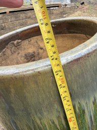 Don't Let a Little Rain Keep you from 50% Off Saturday at Our Small Farm Sale in Cumming/ Suwanee - Image 335