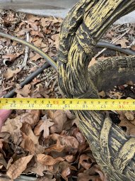 Don't Let a Little Rain Keep you from 50% Off Saturday at Our Small Farm Sale in Cumming/ Suwanee - Image 346