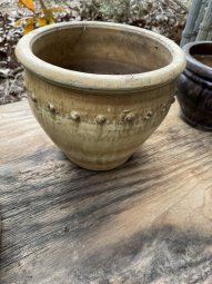 Don't Let a Little Rain Keep you from 50% Off Saturday at Our Small Farm Sale in Cumming/ Suwanee - Image 358