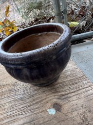 Don't Let a Little Rain Keep you from 50% Off Saturday at Our Small Farm Sale in Cumming/ Suwanee - Image 361