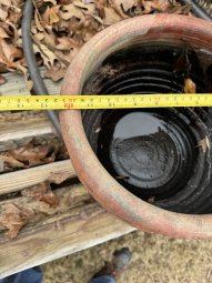 Don't Let a Little Rain Keep you from 50% Off Saturday at Our Small Farm Sale in Cumming/ Suwanee - Image 370