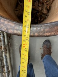 Don't Let a Little Rain Keep you from 50% Off Saturday at Our Small Farm Sale in Cumming/ Suwanee - Image 378