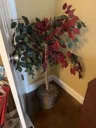 It's 50% Off Saturday, Enter a Mile South of McFarland on HWY 9 in Crooked Creek - Image 270