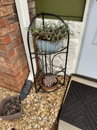 It's a smorgasbord of Fantastic Stuff in Cumming - Image 128