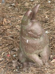 Yellowbird is in Lilburn for a  Treasure Trove... - Image 91