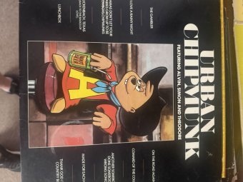 Yellowbird is in Lilburn for a  Treasure Trove... - Image 122