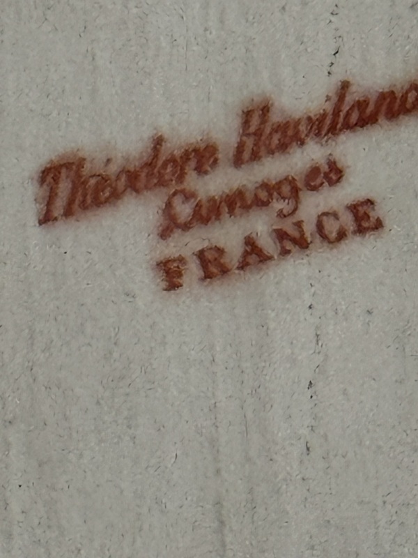 Theodore Haviland Limoges France Platter 12” X 9”