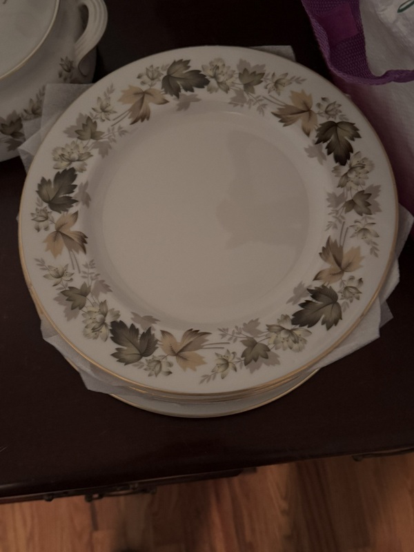 Royal Doulton English Translucent China "Larchmont"