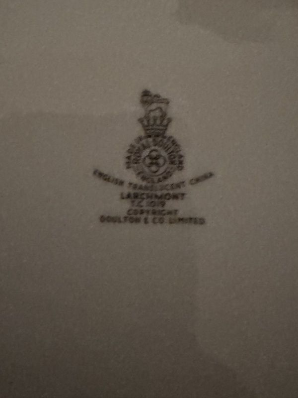 Royal Doulton English Translucent China "Larchmont"