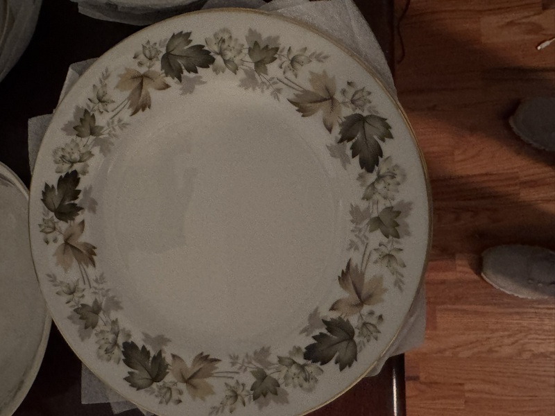 Royal Doulton English Translucent China "Larchmont"