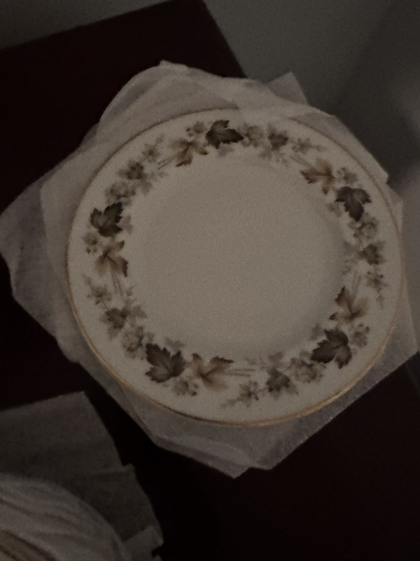 Royal Doulton English Translucent China "Larchmont"