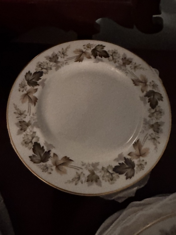 Royal Doulton English Translucent China "Larchmont"