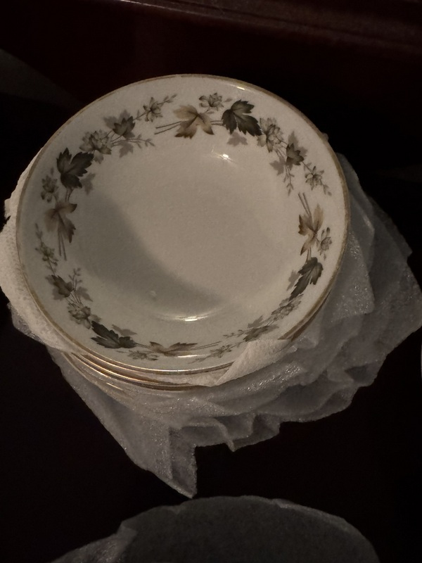 Royal Doulton English Translucent China "Larchmont"