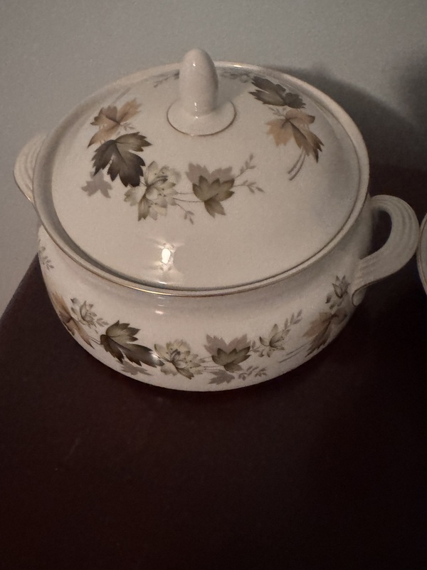 Royal Doulton English Translucent China "Larchmont"