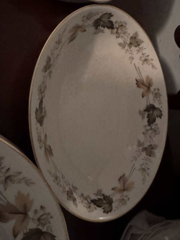 Royal Doulton English Translucent China "Larchmont"