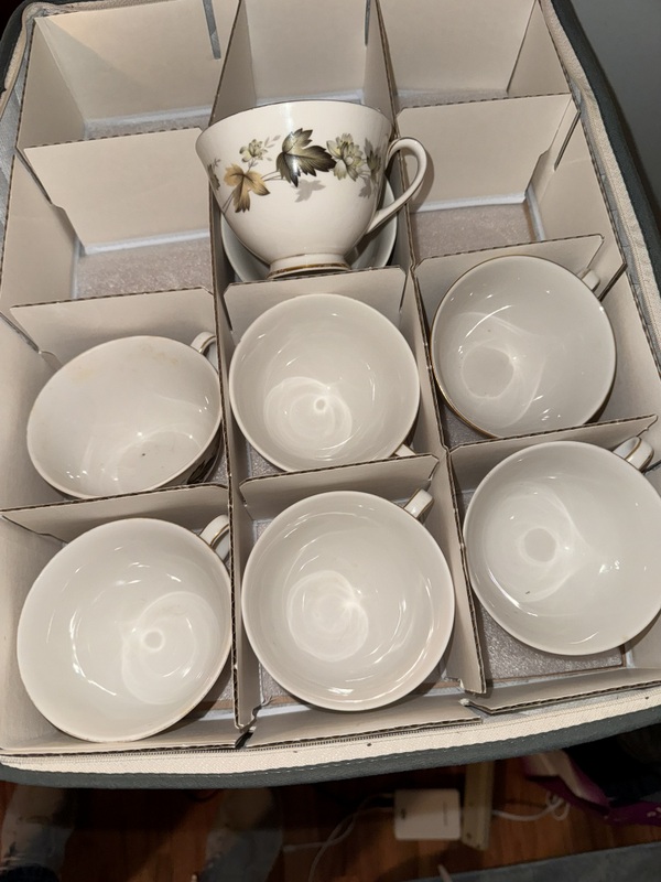 Royal Doulton English Translucent China "Larchmont"