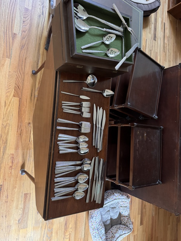 Stainless flatware set and serving pieces in case