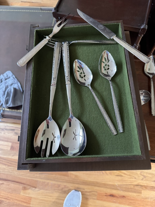 Stainless flatware set and serving pieces in case