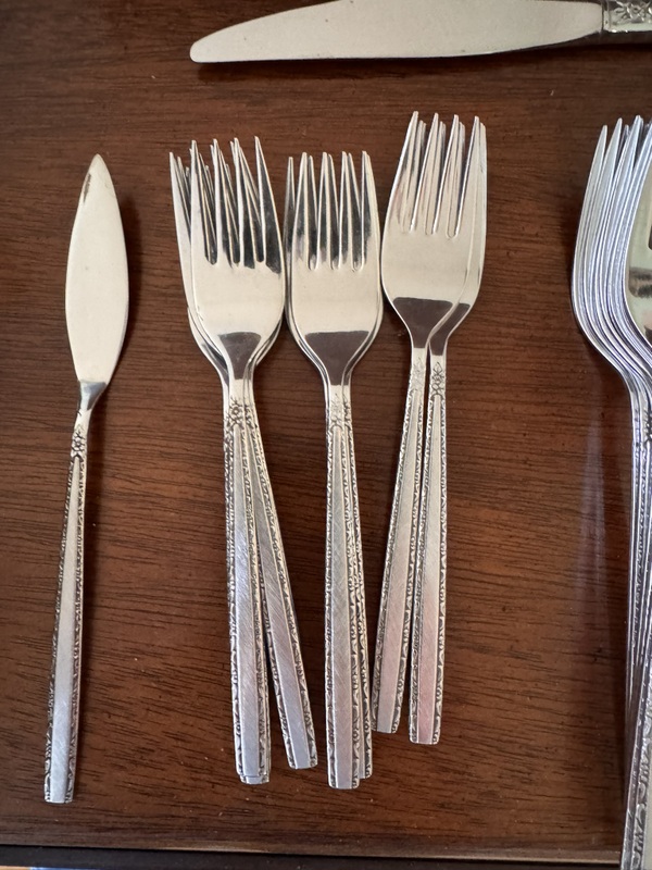 Stainless flatware set and serving pieces in case