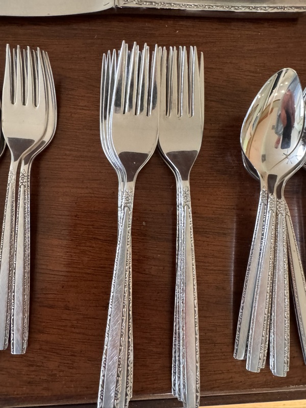 Stainless flatware set and serving pieces in case