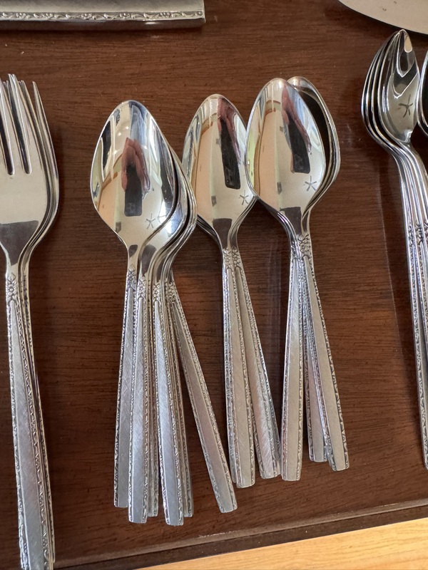 Stainless flatware set and serving pieces in case
