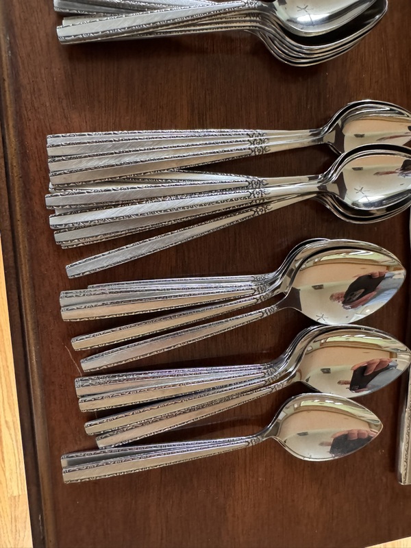 Stainless flatware set and serving pieces in case