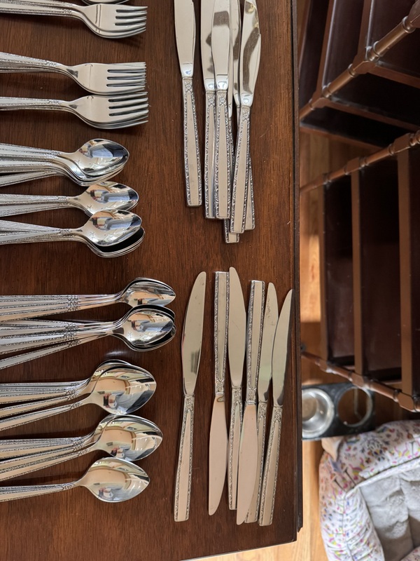 Stainless flatware set and serving pieces in case